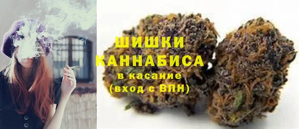 стаф Белокуриха